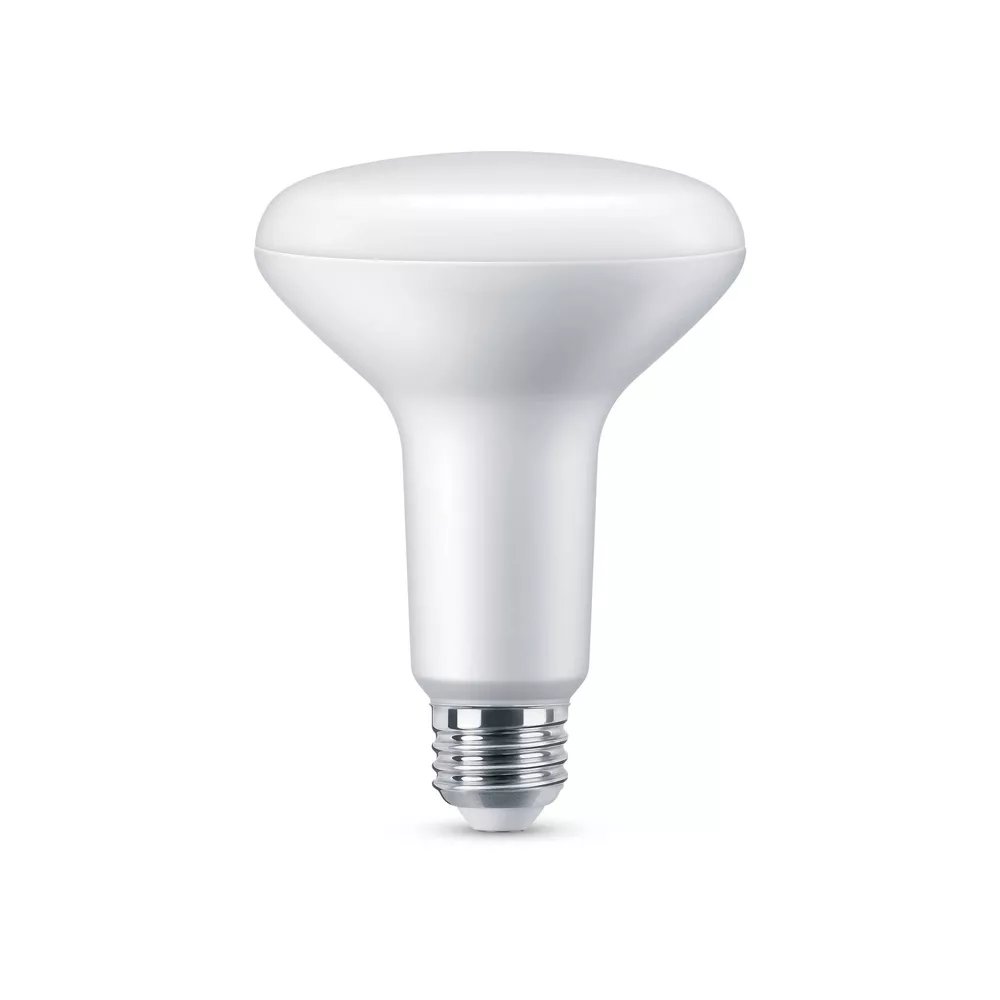Dimmable LED Flood Light Bulb