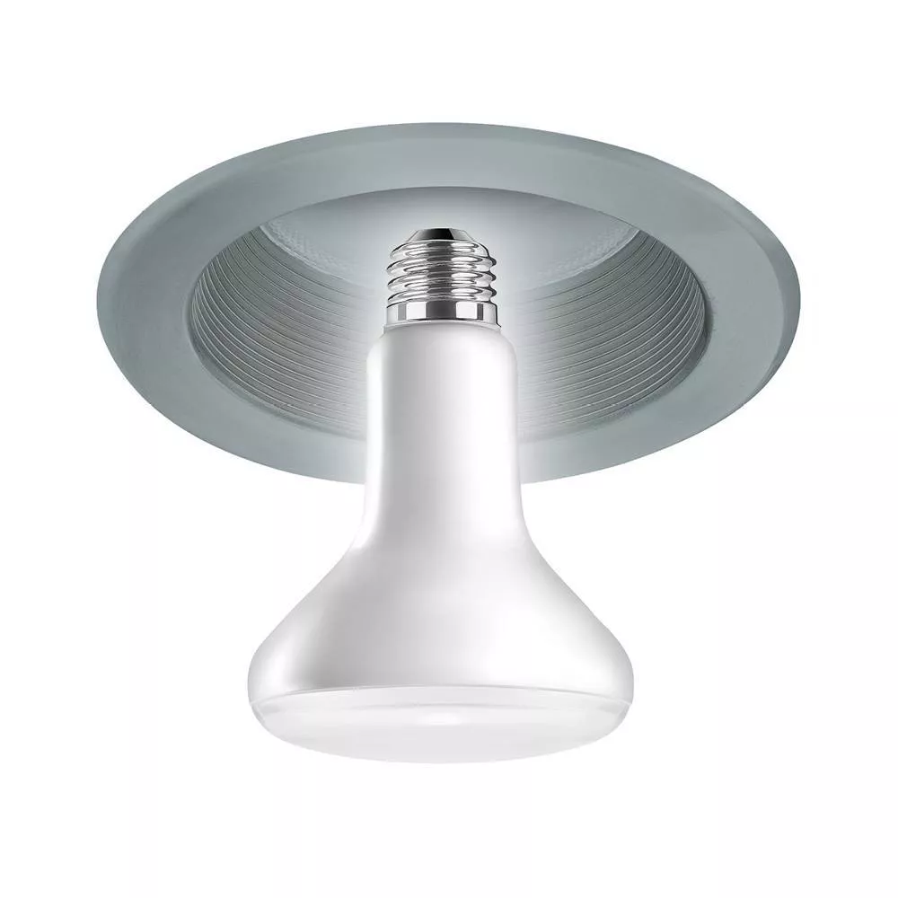 Dimmable LED Flood Light Bulb